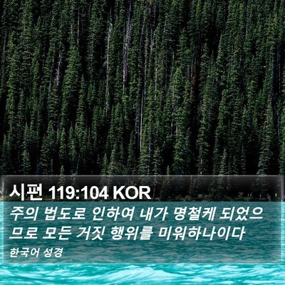 시편 119:104 KOR Bible Verse Image