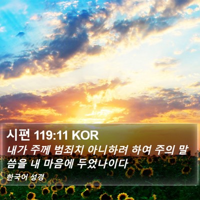 시편 119:11 KOR Bible Verse Image