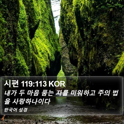 시편 119:113 KOR Bible Verse Image