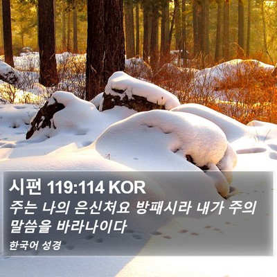 시편 119:114 KOR Bible Verse Image