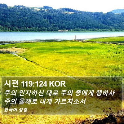 시편 119:124 KOR Bible Verse Image