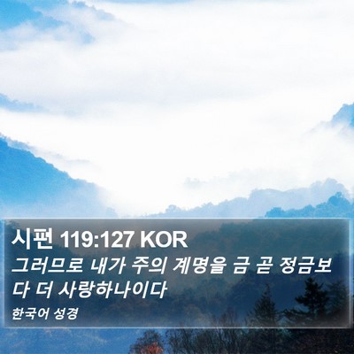 시편 119:127 KOR Bible Verse Image