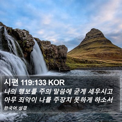 시편 119:133 KOR Bible Verse Image