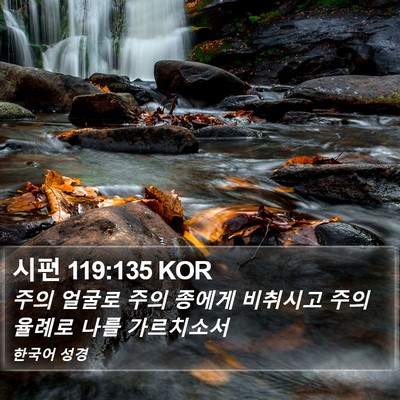 시편 119:135 KOR Bible Verse Image