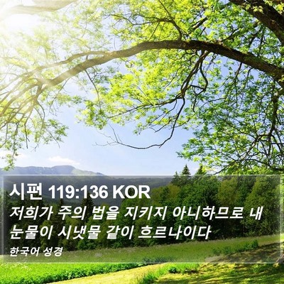 시편 119:136 KOR Bible Verse Image