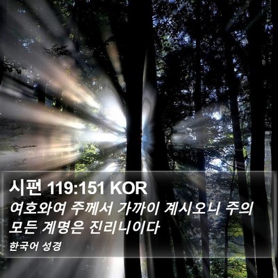시편 119:151 KOR Bible Verse Image