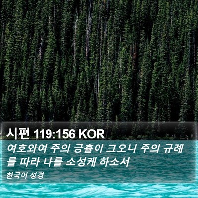 시편 119:156 KOR Bible Verse Image