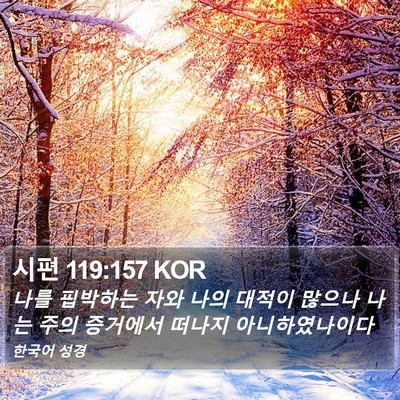 시편 119:157 KOR Bible Verse Image