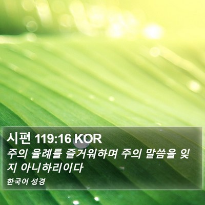 시편 119:16 KOR Bible Verse Image