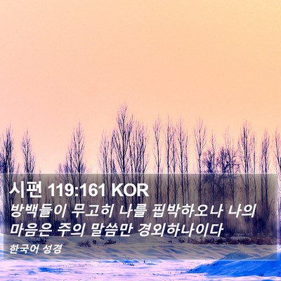 시편 119:161 KOR Bible Verse Image
