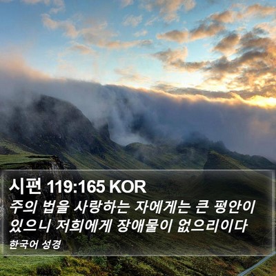 시편 119:165 KOR Bible Verse Image