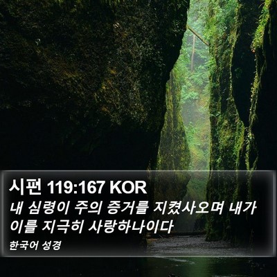 시편 119:167 KOR Bible Verse Image