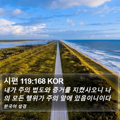 시편 119:168 KOR Bible Verse Image