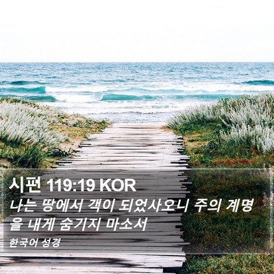 시편 119:19 KOR Bible Verse Image