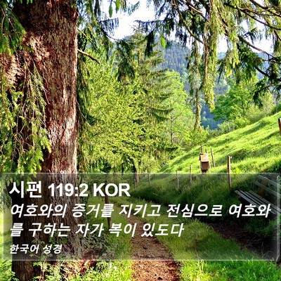 시편 119:2 KOR Bible Verse Image