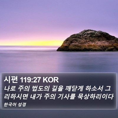 시편 119:27 KOR Bible Verse Image
