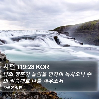 시편 119:28 KOR Bible Verse Image