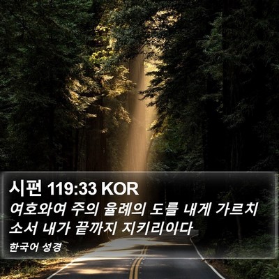 시편 119:33 KOR Bible Verse Image
