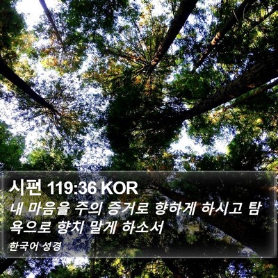 시편 119:36 KOR Bible Verse Image