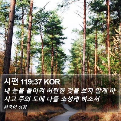 시편 119:37 KOR Bible Verse Image