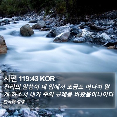 시편 119:43 KOR Bible Verse Image