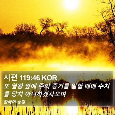 시편 119:46 KOR Bible Verse Image