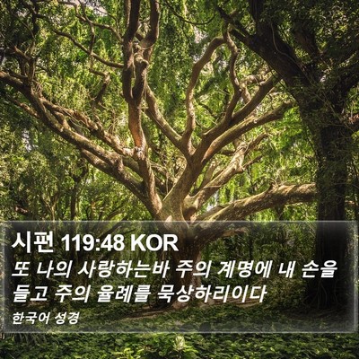 시편 119:48 KOR Bible Verse Image