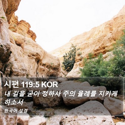 시편 119:5 KOR Bible Verse Image