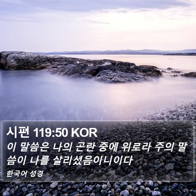 시편 119:50 KOR Bible Verse Image