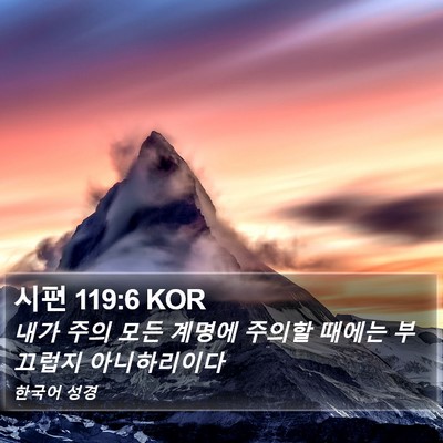 시편 119:6 KOR Bible Verse Image