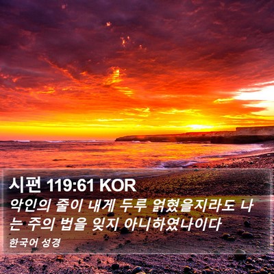 시편 119:61 KOR Bible Verse Image