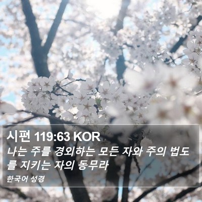 시편 119:63 KOR Bible Verse Image