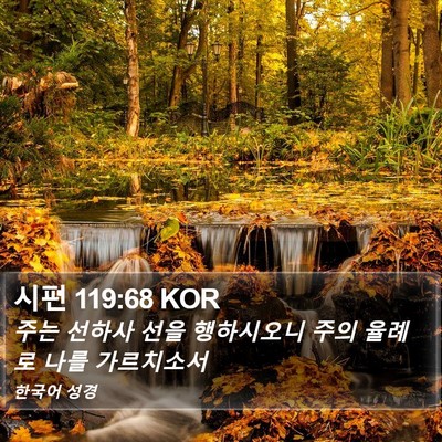 시편 119:68 KOR Bible Verse Image