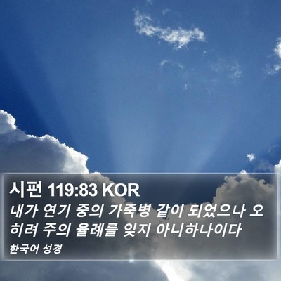 시편 119:83 KOR Bible Verse Image