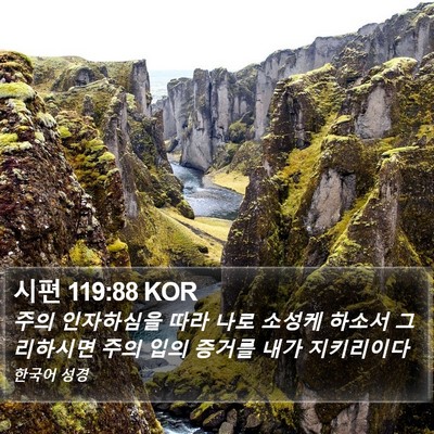 시편 119:88 KOR Bible Verse Image