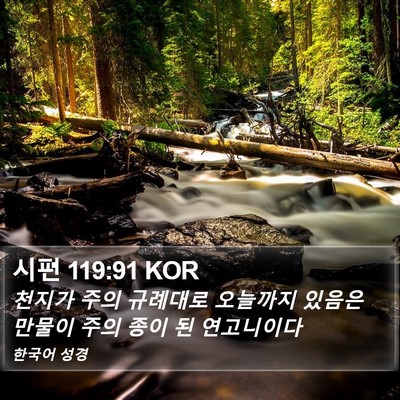 시편 119:91 KOR Bible Verse Image