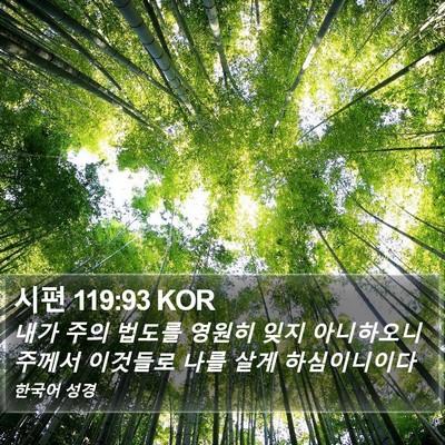 시편 119:93 KOR Bible Verse Image