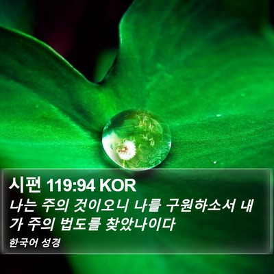 시편 119:94 KOR Bible Verse Image