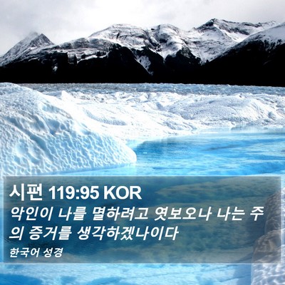 시편 119:95 KOR Bible Verse Image