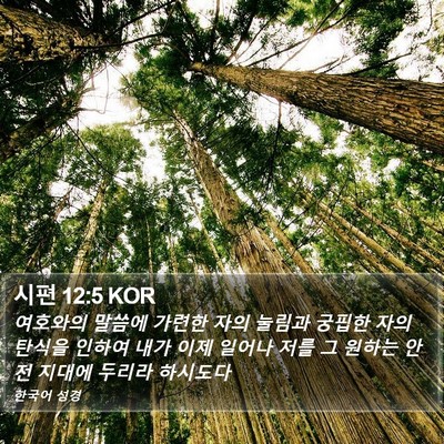 시편 12:5 KOR Bible Verse Image