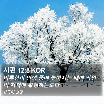 시편 12:8 KOR Bible Verse Image