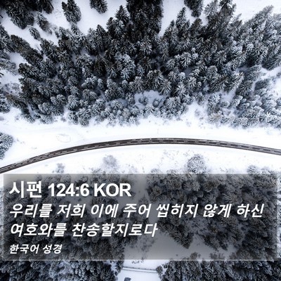 시편 124:6 KOR Bible Verse Image