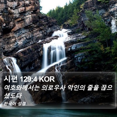 시편 129:4 KOR Bible Verse Image