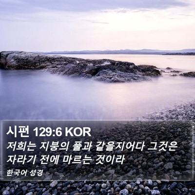시편 129:6 KOR Bible Verse Image