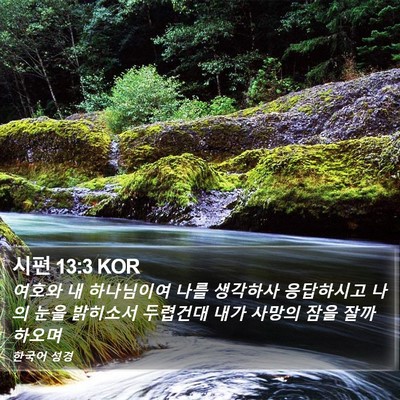시편 13:3 KOR Bible Verse Image