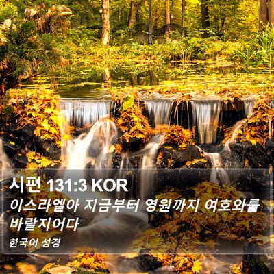 시편 131:3 KOR Bible Verse Image