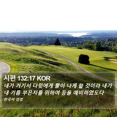 시편 132:17 KOR Bible Verse Image