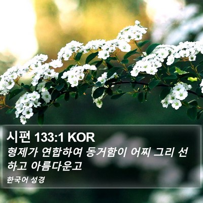 시편 133:1 KOR Bible Verse Image