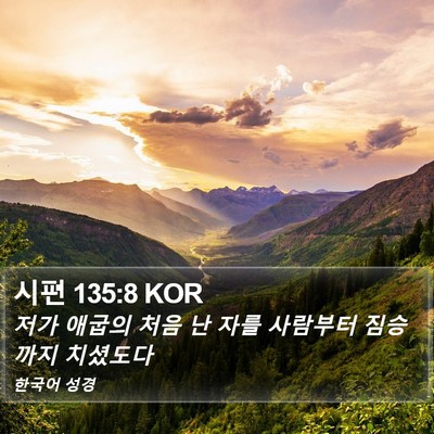 시편 135:8 KOR Bible Verse Image