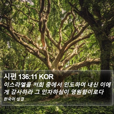 시편 136:11 KOR Bible Verse Image
